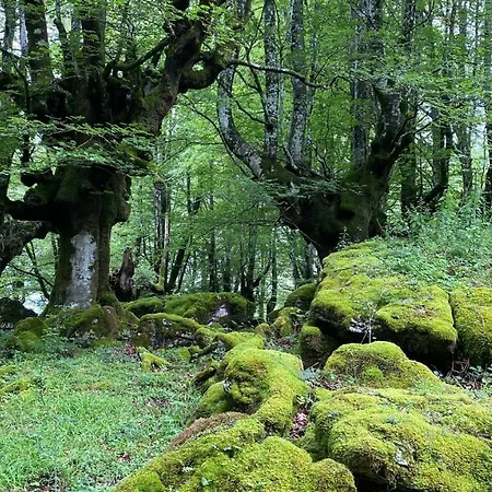 Ulle Gorri Country house