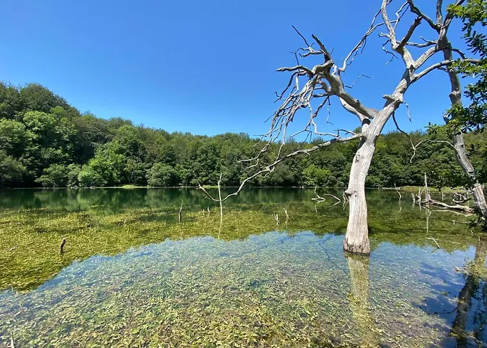 Ulle Gorri Country house Unza