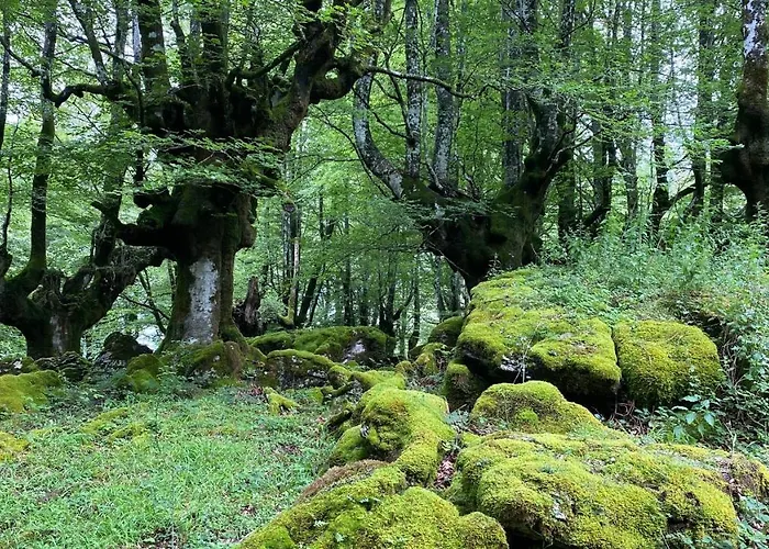 Ulle Gorri Country house